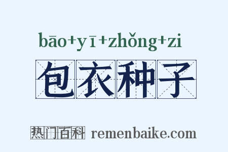 包衣种子是什么意思的图片